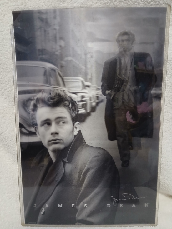 james Desn Other - Lenticular 3-D Poster of James Dean Includes Famous 1955 Photo By Roy Schatt.